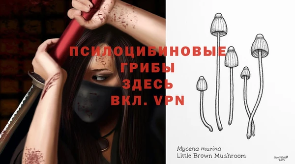 кокаин колумбия Лиски