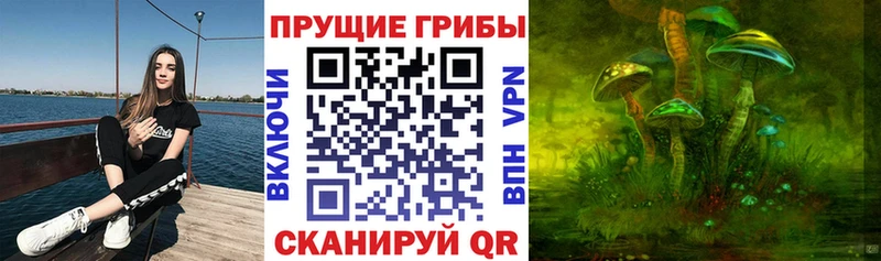 Купить где  Торопец  Псилоцибиновые грибы MAGIC MUSHROOMS 